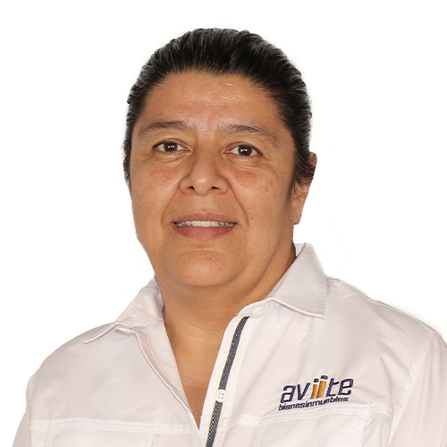 Anna Toledo agente inmobiliario Aviite bienes inmuebles