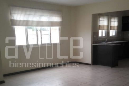 A1342 1 Oviedo