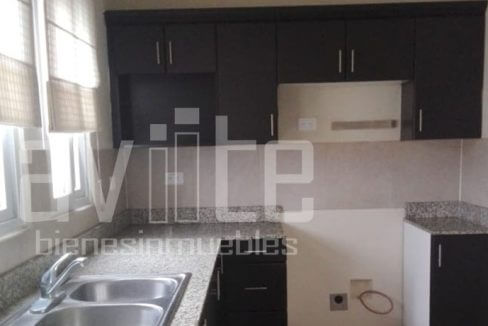 A1342 4 Oviedo