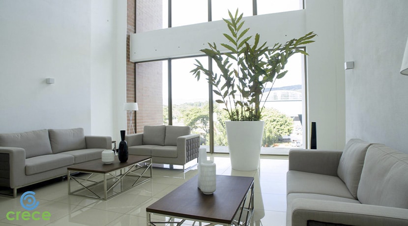 Edificio Crece 6