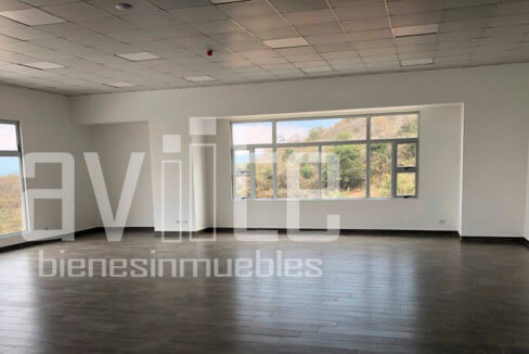 aviite distribodegas5 02
