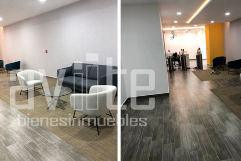 aviite distribodegas5 03