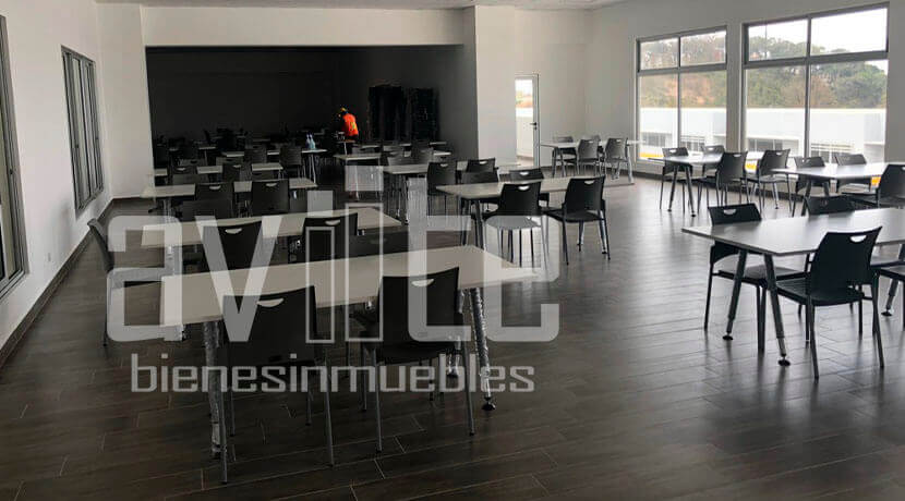 aviite distribodegas5 04