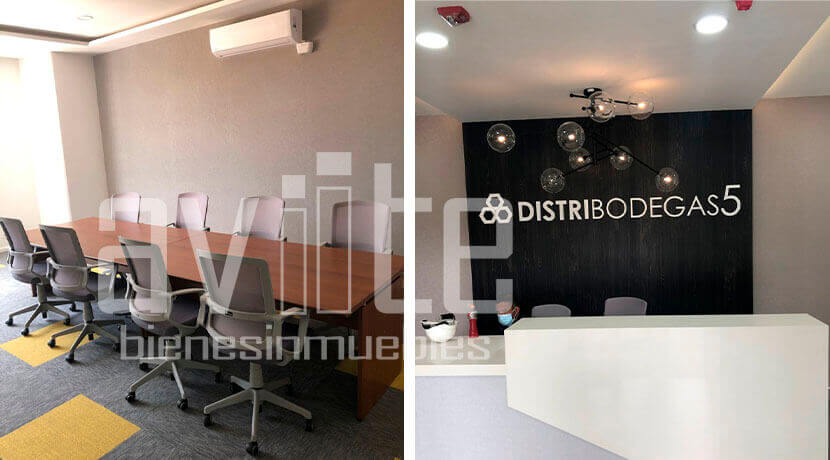 aviite distribodegas5 06