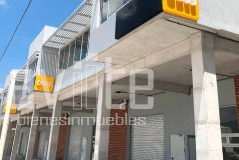 aviite distribodegas5 07