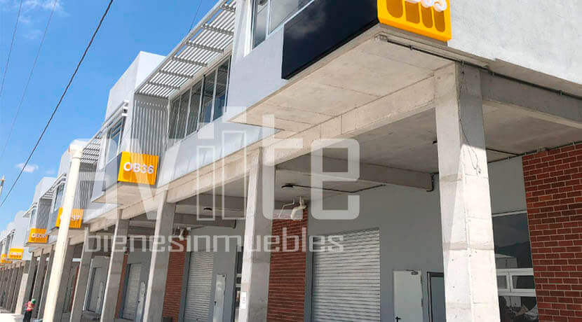 aviite distribodegas5 07
