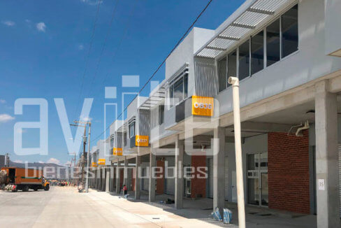 aviite distribodegas5 08