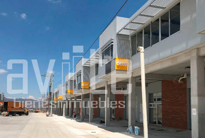 aviite distribodegas5