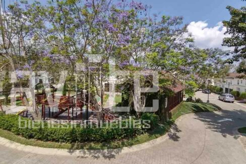 San Daniel condado naranjo 02