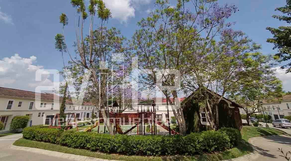 San Daniel condado naranjo 03