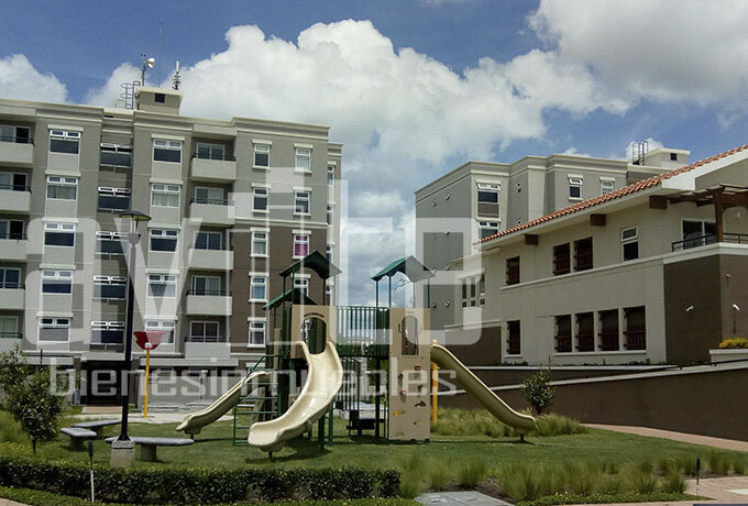 Aviite san miguel condado naranjo