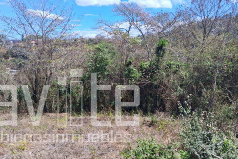 A34979 terreno venta 02