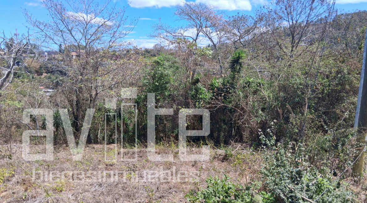 A34979 terreno venta 02