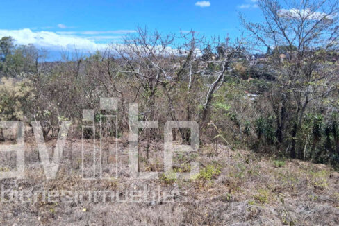 A34979 terreno venta 03