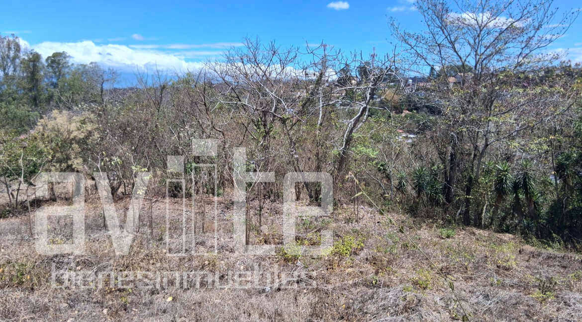 A34979 terreno venta 03