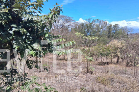 A34979 terreno venta 04