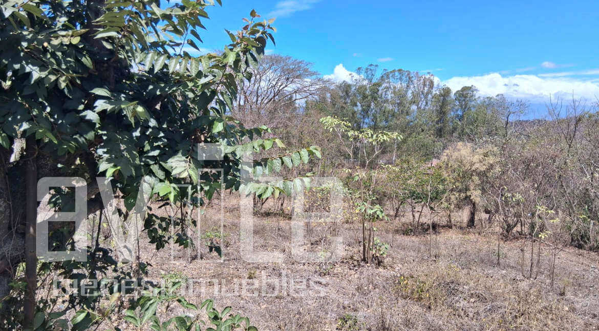 A34979 terreno venta 04