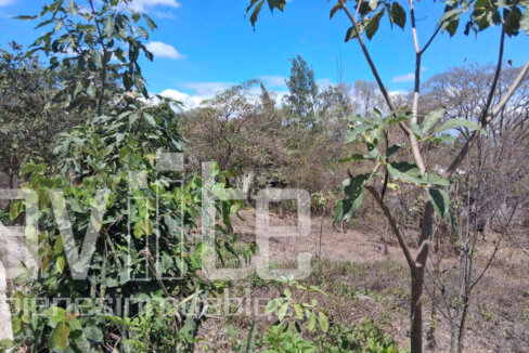 A34979 terreno venta 05