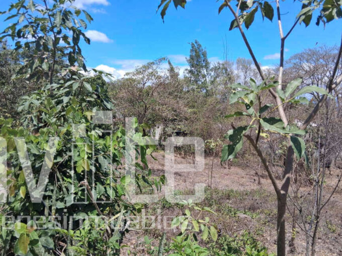 A34979 terreno venta san antonio la paz el progreso