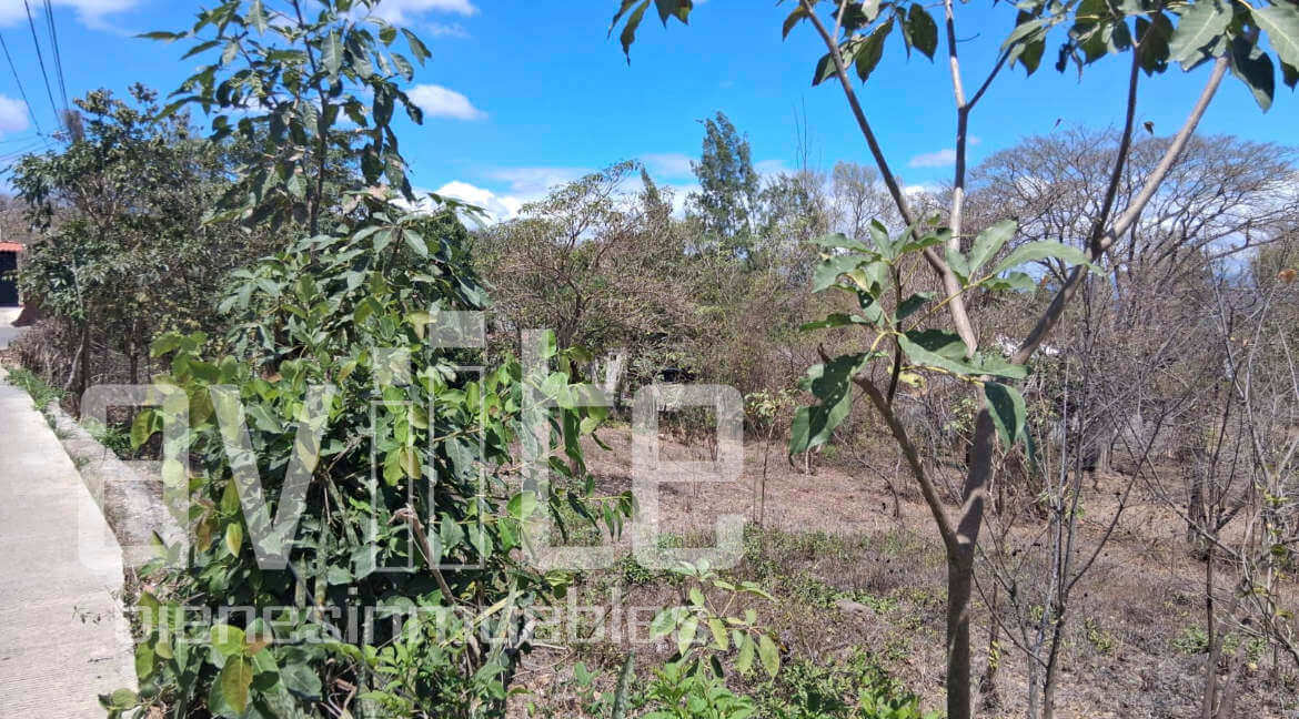 A34979 terreno venta 05